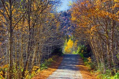 Parc Jacques Cartier 20061006