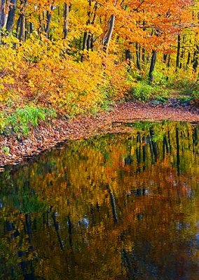 Autumn Pond 20061009