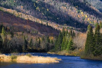 Parc Jacques Cartier 42802