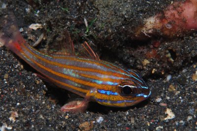 DSC_6279.JPG