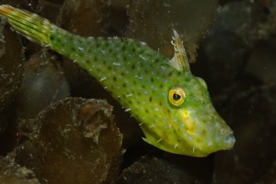 DSC_6374.jpg