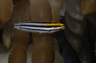 DSC_6378.JPG