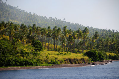 DSC_3077.jpg