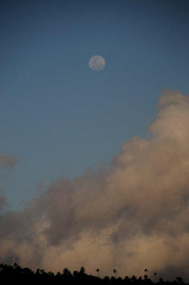 DSC_4169.jpg