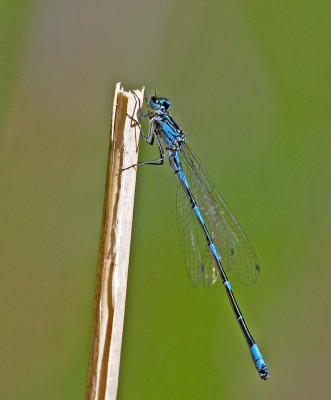DSC_5332.jpg