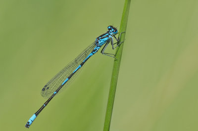 DSC_5998.jpg