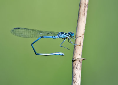 DSC_6536.jpg