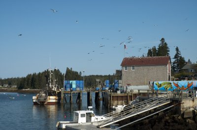 Leaving the dock at Port Clyde for Monhegan.