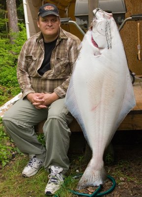 Another good halibut