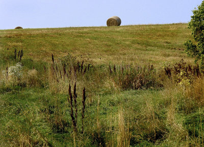 Field with Hay Roll