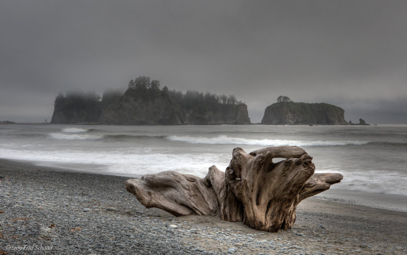 Beached