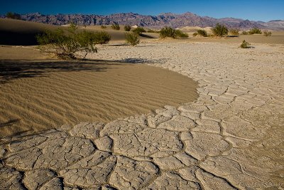 Drifting Sands