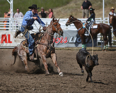 Calf Roping