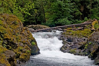 Salmon Cascades