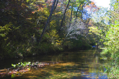 Blue Springs Creek