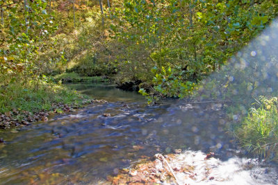 Blue Springs Creek