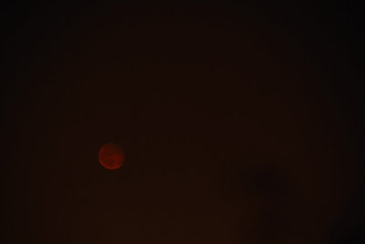 Red Moon Rising