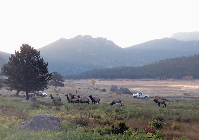 Oct 3 - Rocky Mountain National Park
