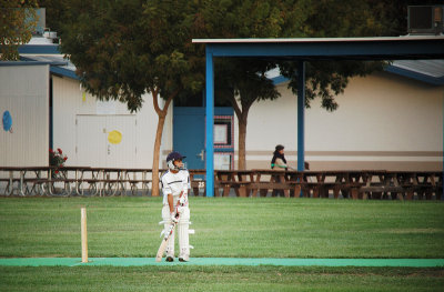 The Batsman