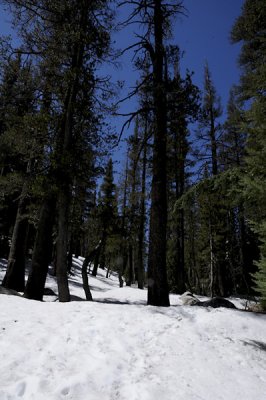 Hiking on the hard Snow