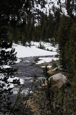 Unicorn Creek on the hike out