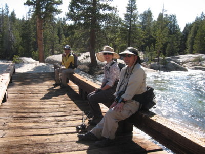 At the Lyell Fork Crossing