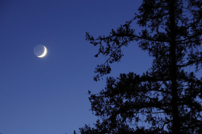 The Setting Crescent Moon