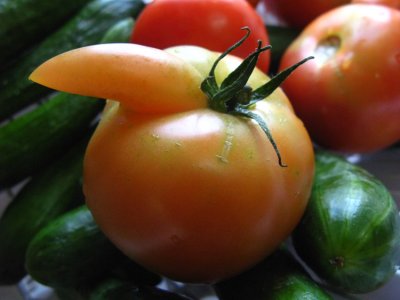 Red and Green