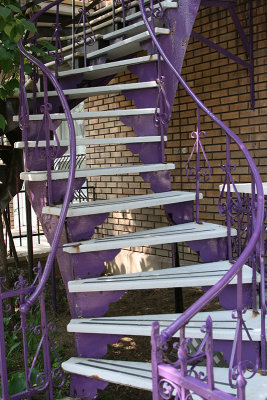Escaliers de Montral