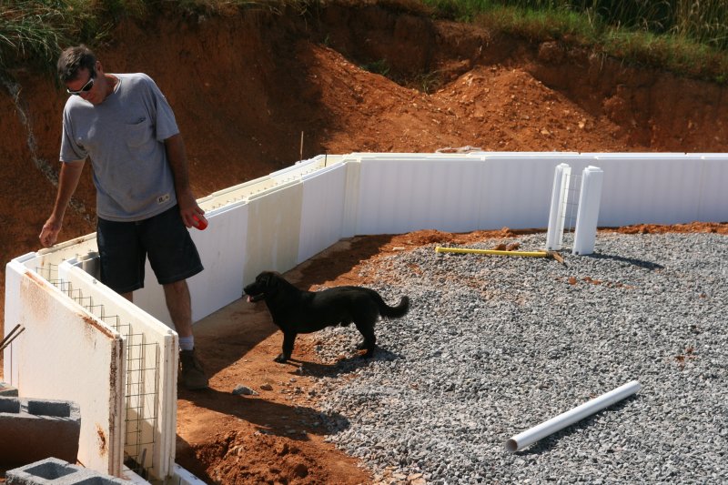 Fitting the ICF (Woodrow says, Its Lunchtime!)