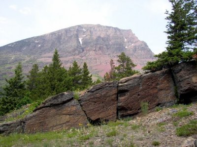 P1010052 Rocks on Logan Pass.JPG