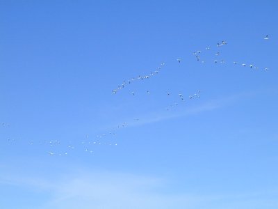 73220033.JPG