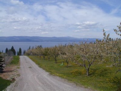 Image016.jpg