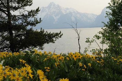 Nikon workshop_Colter Bay34001.jpg