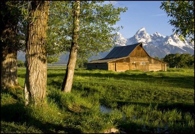 Tetons