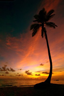IMG_2079pb.jpg