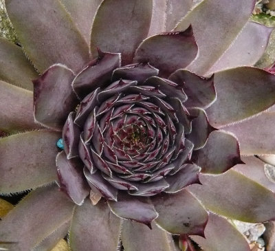 g5/76/396076/3/100334749.usxEBufN.jpg