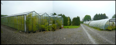 The main glasshouse