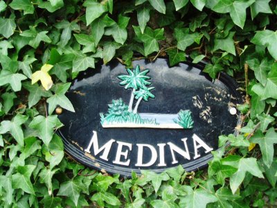 'Medina' Irish coastal garden