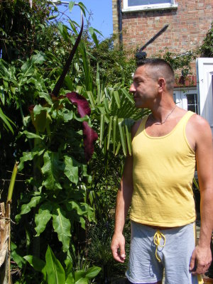 Dracunculus vulgaris and me.  One smells of decaying flesh, the other doesn't.