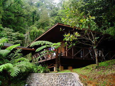 Guest House TNH di Cikaniki