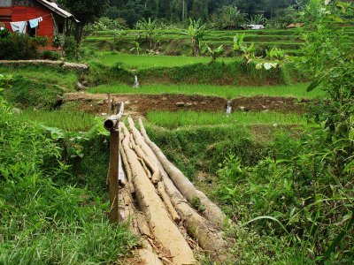 Taman Nasional Halimun