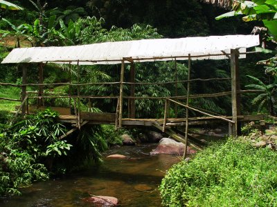 Taman Nasional Halimun