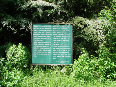 Taman Nasional Halimun