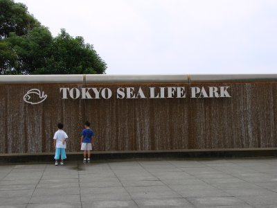 Sea Life Park - one ample place to spent the weekend
