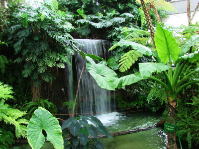 Yomenoshima Tropical Garden