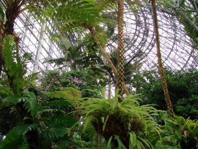 Yomenoshima Tropical Garden