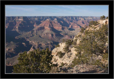 South Rim #38