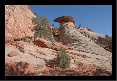 An Interesting Formation in Kanab Canyon