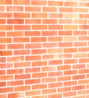 MikeBrickmyspace.jpg